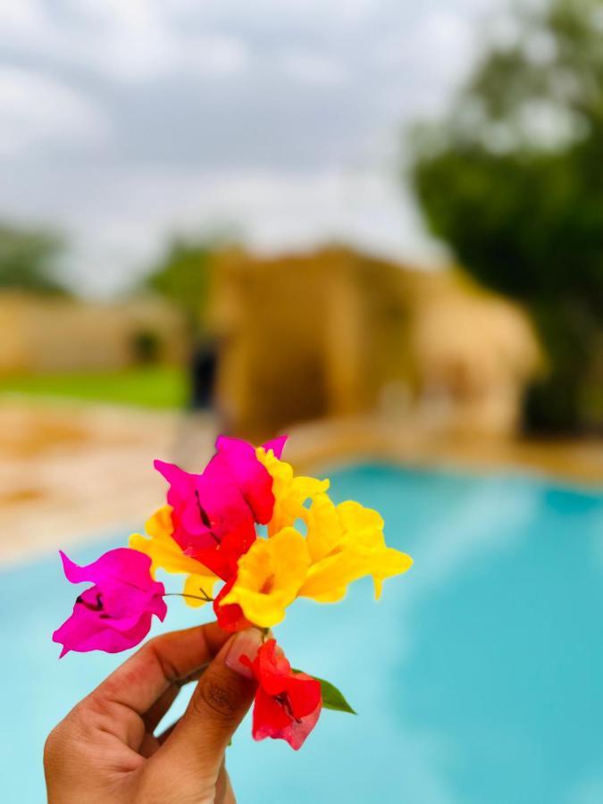 Hotel Golden Safari Jaisalmer 斋沙默尔 外观 照片